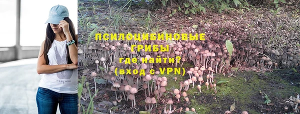 дживик Осташков