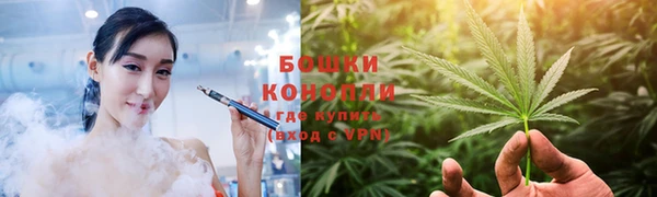 дживик Осташков