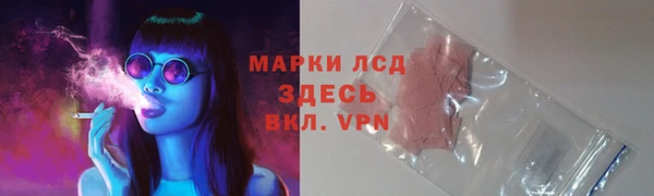 дживик Осташков