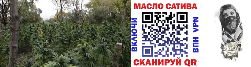 купить наркотики цена  Порхов  ТГК вейп 