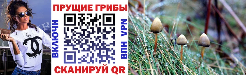 Псилоцибиновые грибы мухоморы  Порхов 